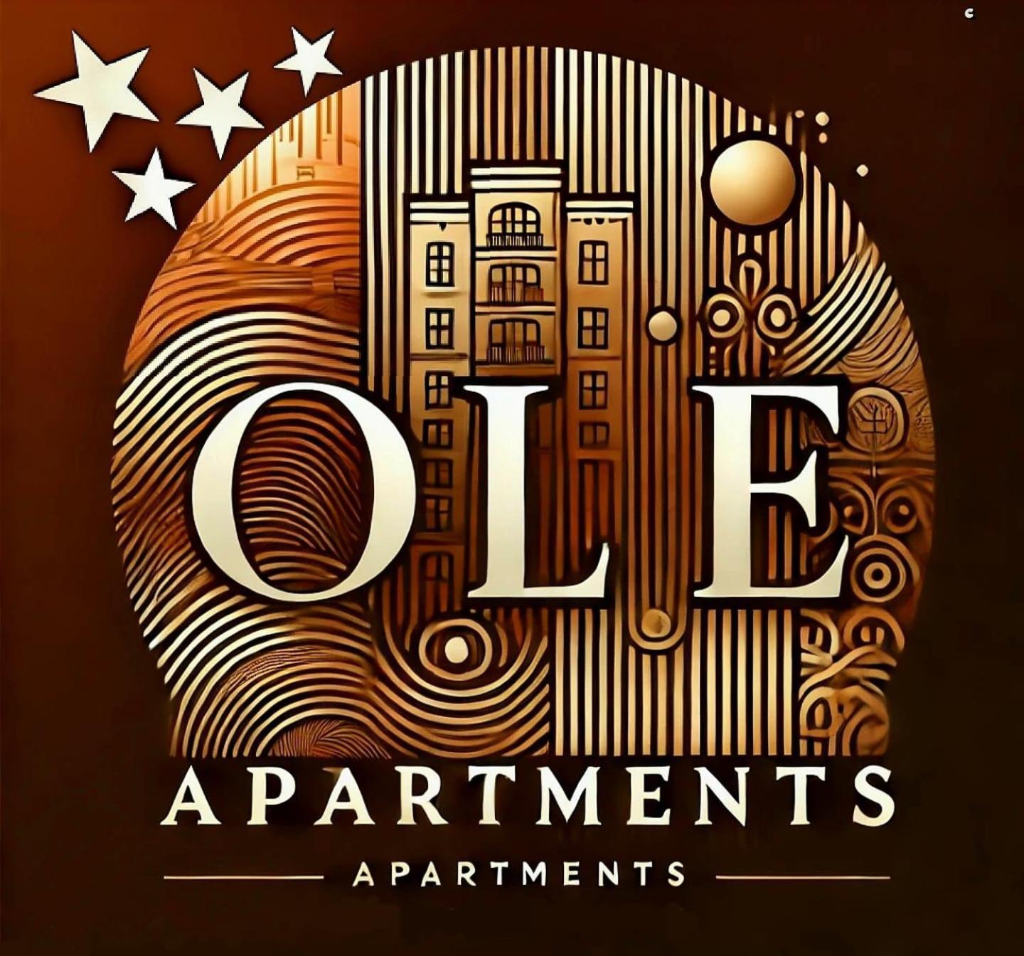 Ole Apartment - Get Your Energy For Free! Coffee And Tea On The House Timisoara Ngoại thất bức ảnh